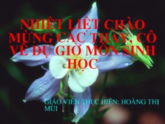 Bài giảng Sinh học 9 - Tiết 22: Đột biến gen