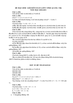 Đề học sinh giỏi môn Toán lớp 5 tỉnh Quảng Trị năm học 2010-2011