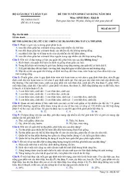 Đề thi tuyển sinh cao đẳng năm 2014 môn: Sinh học; khối B - Mã đề thi 197