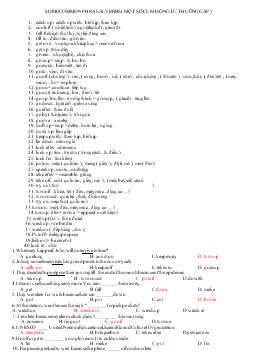 Giáo án phụ đạo tiếng Anh 12 - Some common phrasal verbs (một số cụm động từ thường gặp)