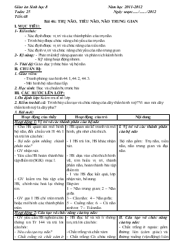 Giáo án Sinh học 8 - Tiết 48