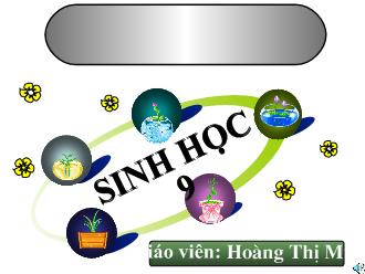 Giáo án Sinh học 9 - Bài 12: Cơ chế xác định giới tính