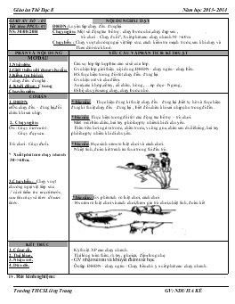 Giáo án Thể dục 8 - Tiết 5, 6