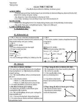 Giáo án Hình học 8 Tiết 29: thực hành (xác định diện tích hình chữ nhật, hình tam giác)