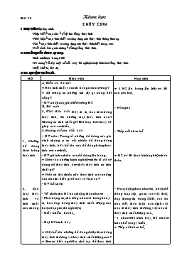 Giáo án lớp 5 môn Khoa học - Bài 29