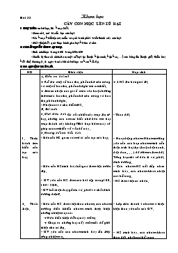 Giáo án lớp 5 môn Khoa học - Bài 53