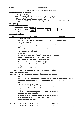 Giáo án lớp 5 môn Khoa học - Bài 56