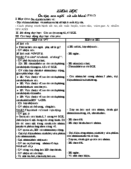 Giáo án môn Tự nhiên xã hội - Tuần 11