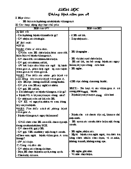 Giáo án môn Tự nhiên xã hội - Tuần 8