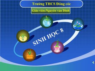 Bài giảng Sinh học 8 - Bài 51, Tiết 53: Cơ quan phân tích thính giác - Nguyễn Văn Dinh