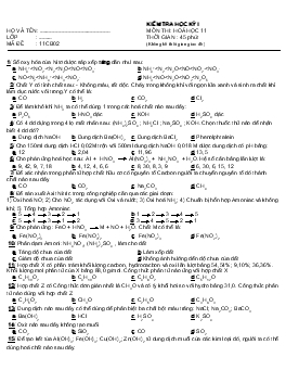 Bài kiểm tra học kỳ I môn: Hóa học 11 - Mã đề thi 11CB02