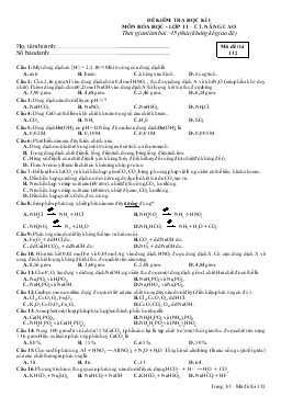 Đề kiểm tra học kì I môn Hóa học - Lớp 11 (nâng cao) - Mã đề thi 132