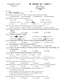 Đề thi học kì I – Khối 11 môn: Hóa học trường THPT Vọng Thê