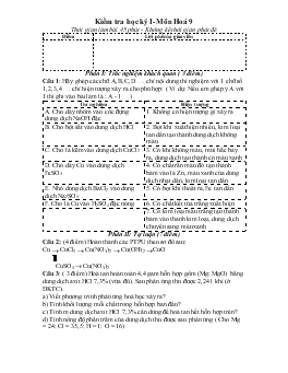 Kiểm tra học kỳ I- Môn Hoá 9 Thời gian làm bài 45 phút