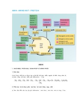 Bài giảng Amin - Amino axit - protein (tiếp)