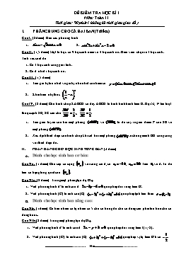 Đề kiểm tra học kì I môn: Toán 11 (Đề 1)