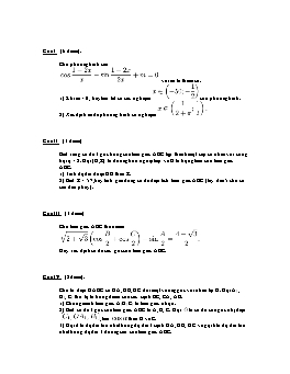 Đề ôn thi học sinh giỏi Toán 11 (Đề 13)