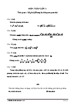 Đề ôn thi học sinh giỏi Toán 11 (Đề 17)