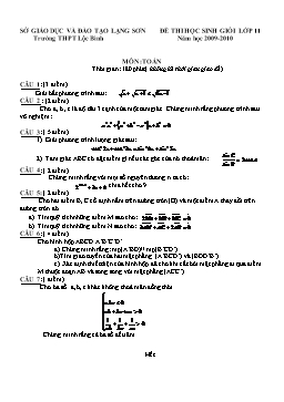 Đề thi học sinh giỏi lớp 11 năm học 2009-2010 môn Toán - Trường THPT Lộc Bình