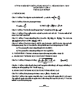Đề thi khảo sát chất lượng học kỳ I môn: Toán – lớp 11